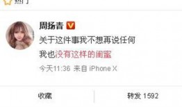 桂电最近爆料最新消息新闻,揭秘神秘项目进展及影响